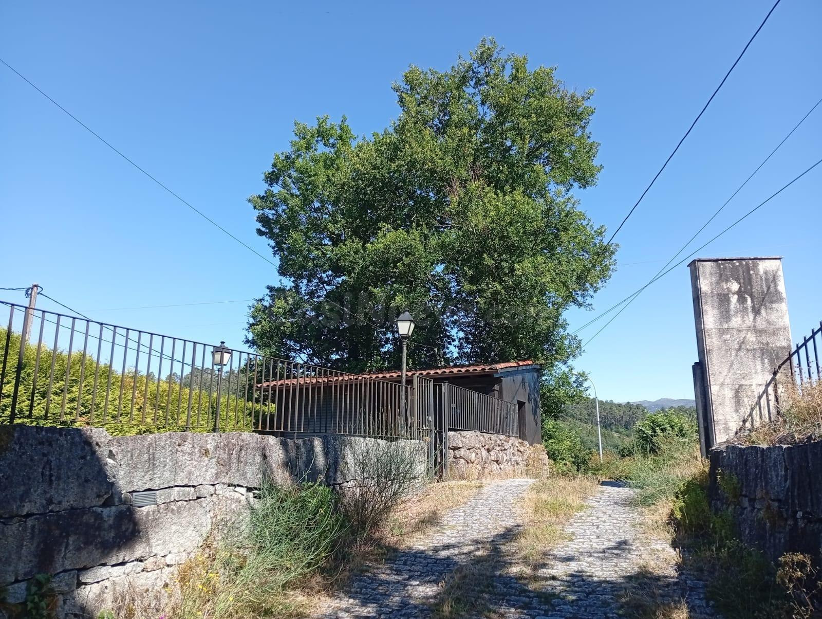 Venta de Pisos y apartamentos en Lobios (Ourense)