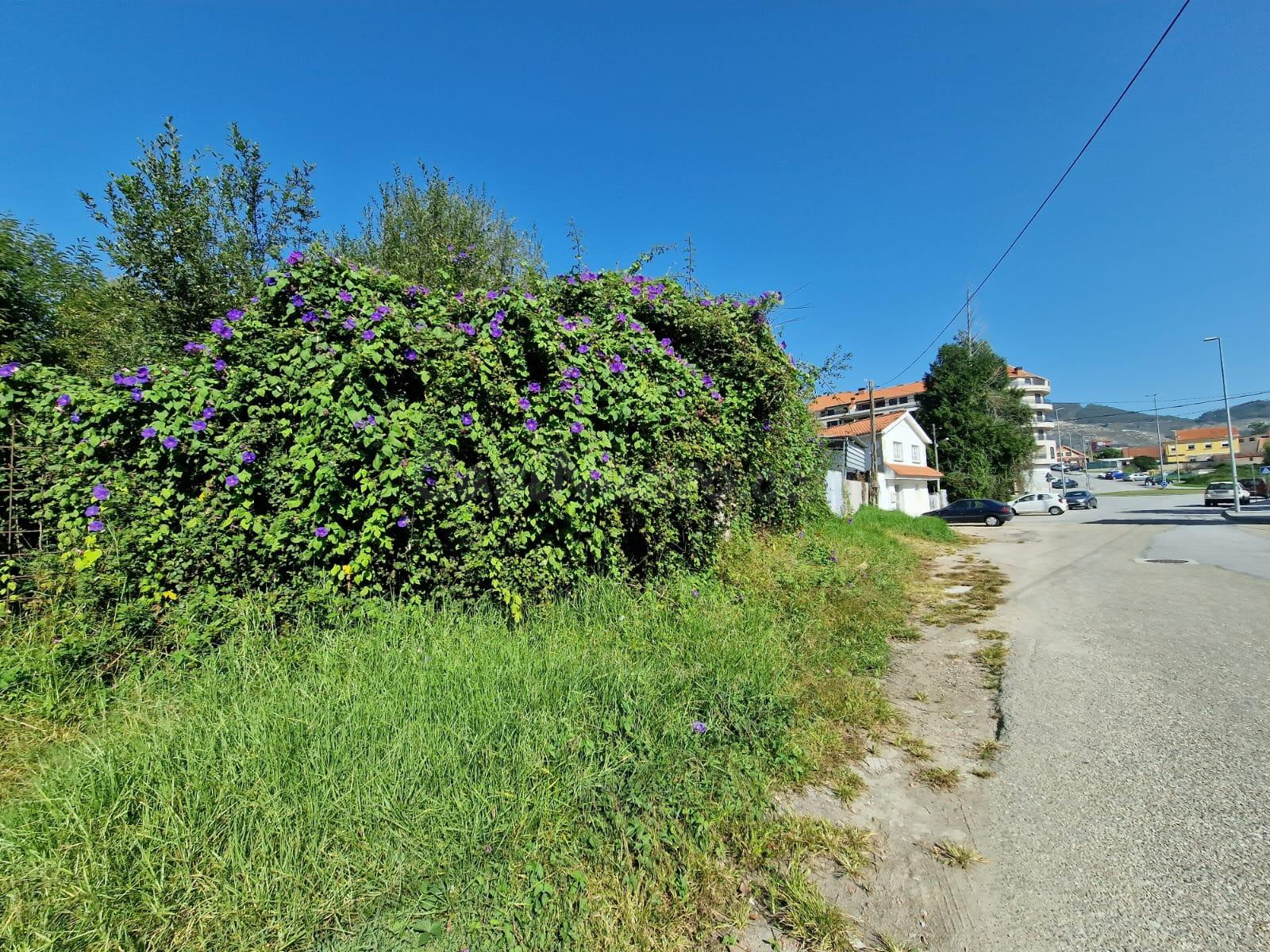 PARCELA EN VENTA EN REIBON - MOAÑA - foto 4