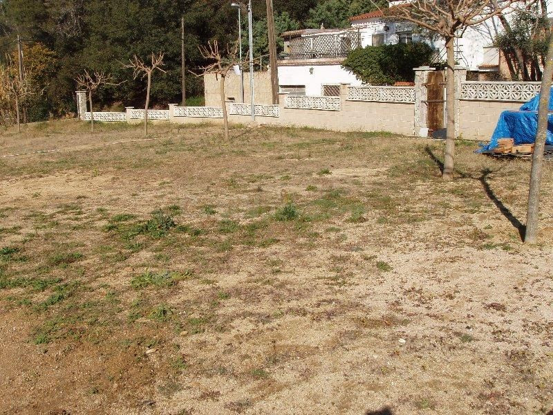 Totalmente planos, y vallados con muros - foto 2