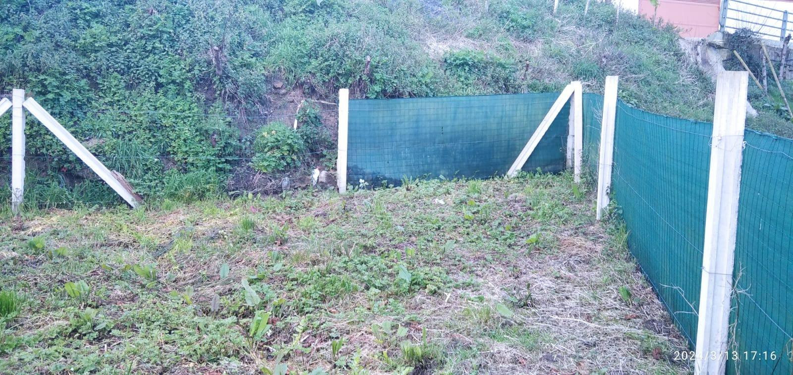 Terreno rural en venta - Silleda - foto 4