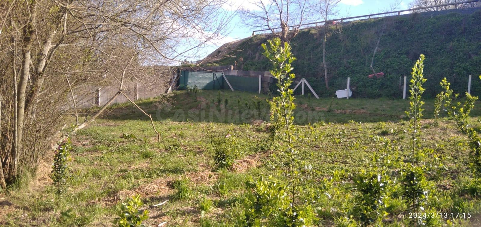 Terreno rural en venta - Silleda - foto 5