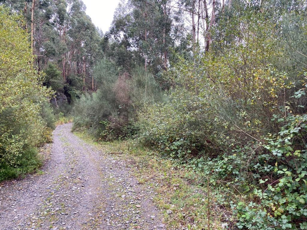 Terreno urbano en Moaña - foto 4