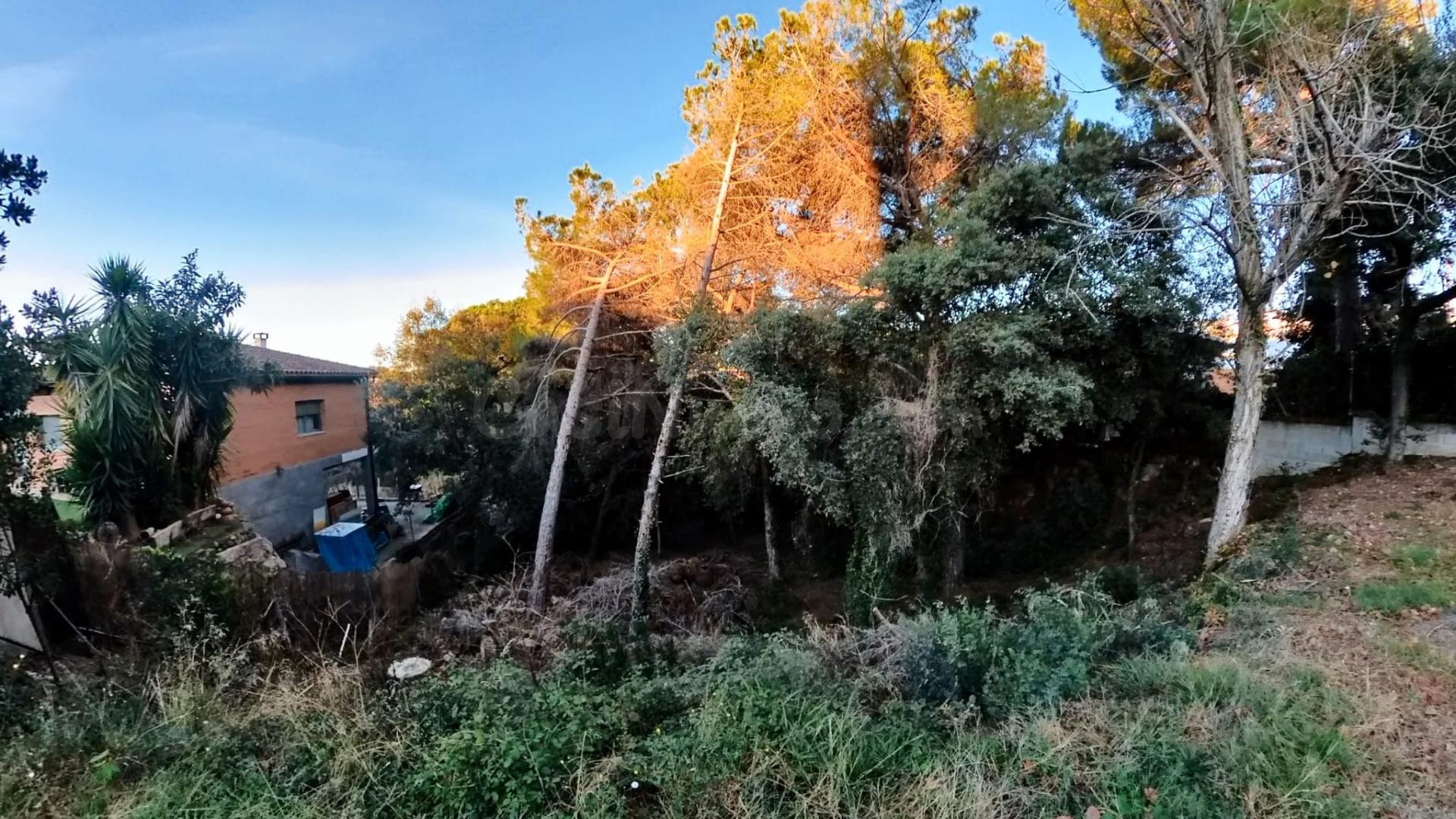 Terreno urbanizable en venta - Ca l` esmandia - foto 3