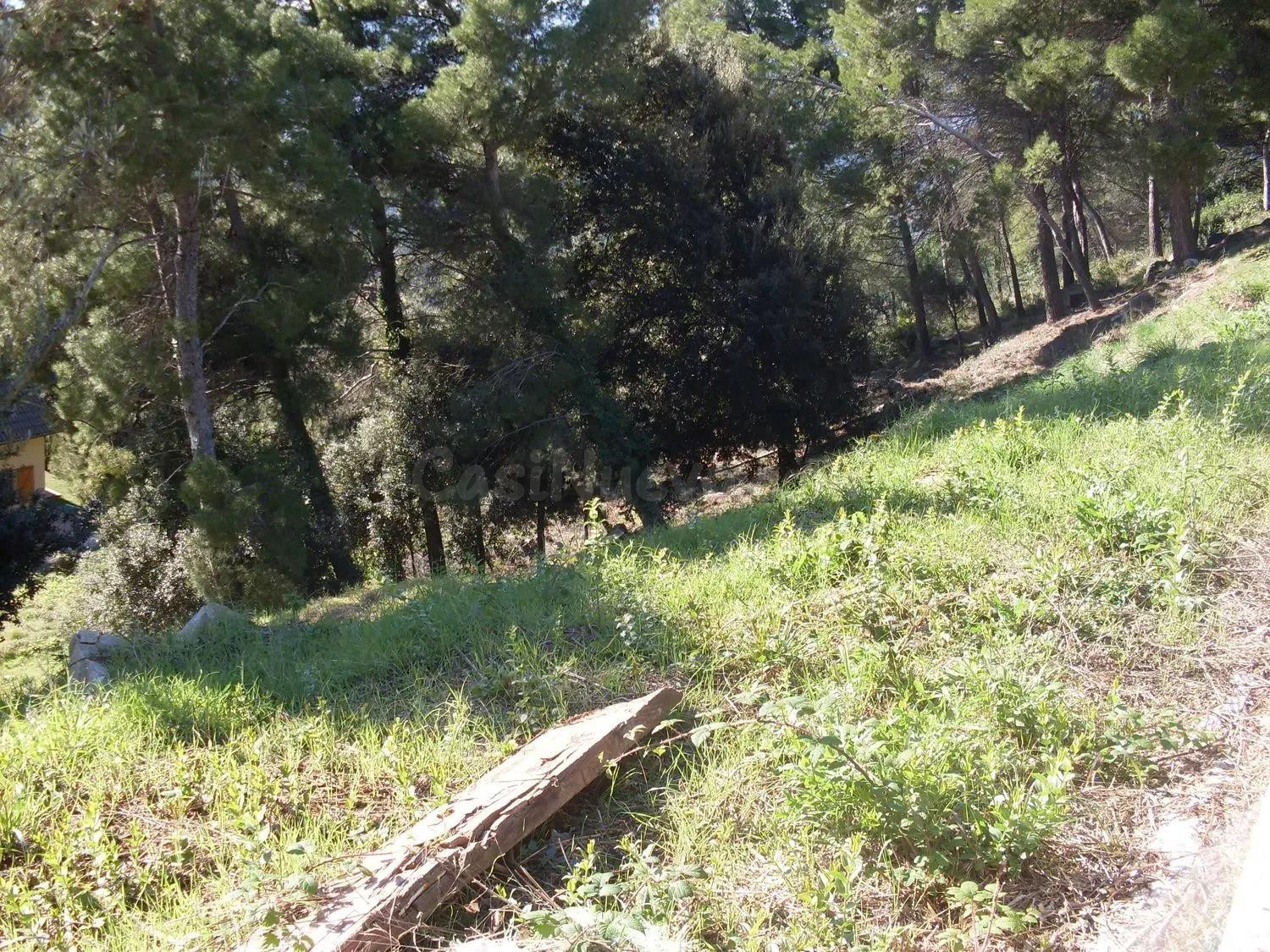 Terreno urbano en venta - El serrat de l atmella