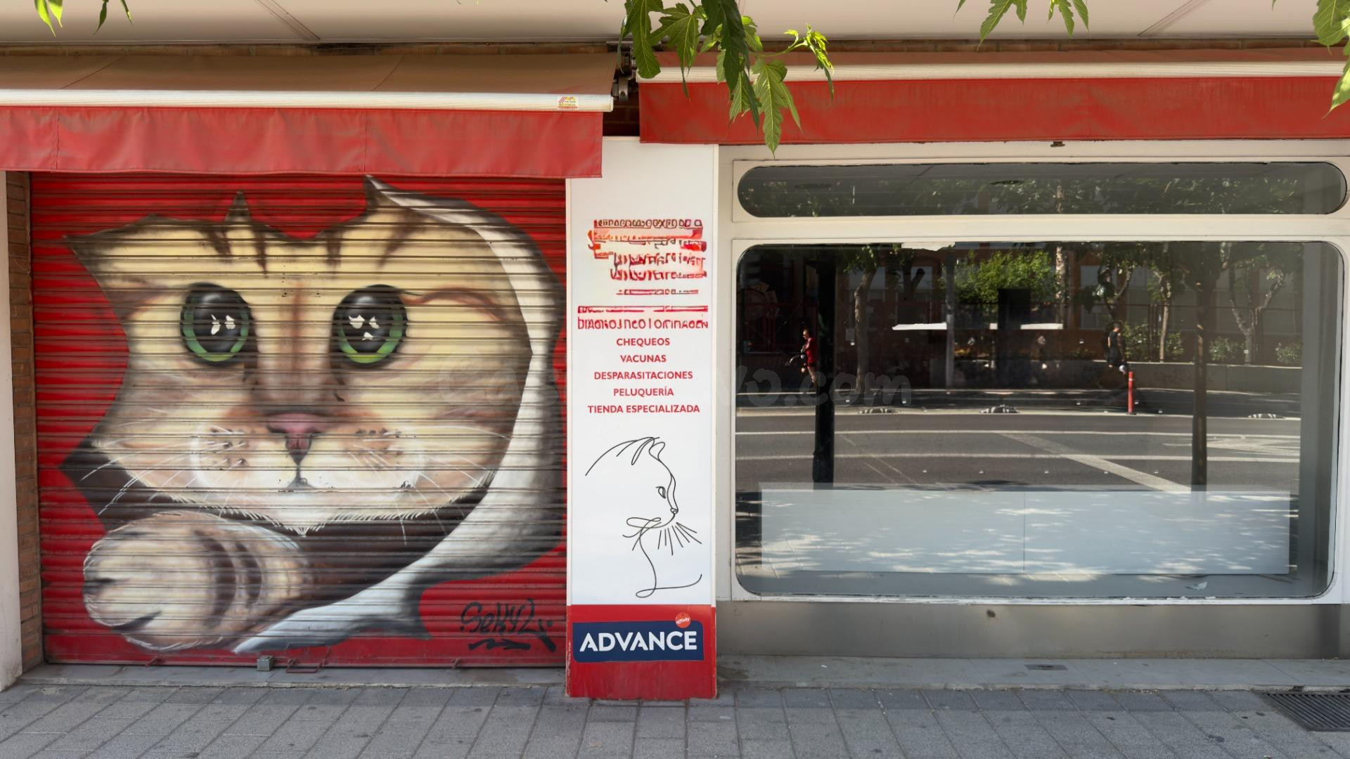 Estupendo local en zona comercial en el Infante - foto 4