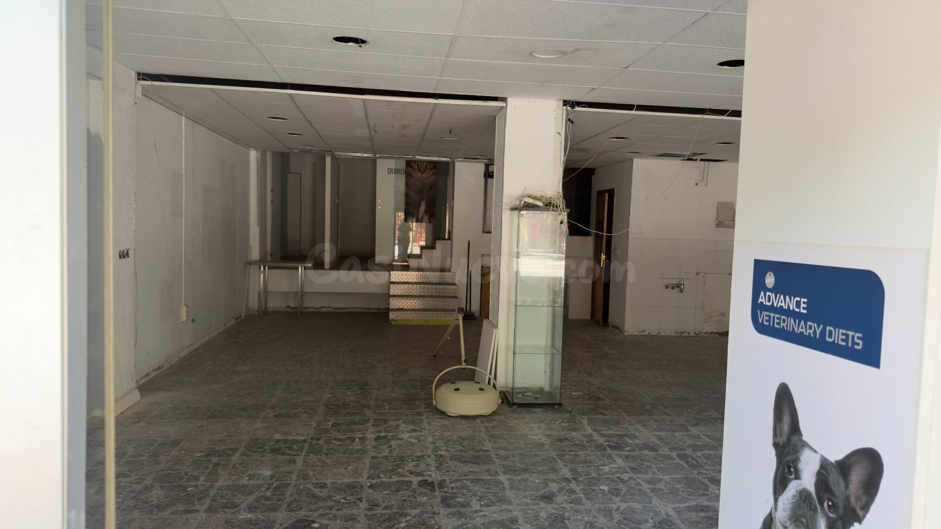 Estupendo local en zona comercial en el Infante - foto 5