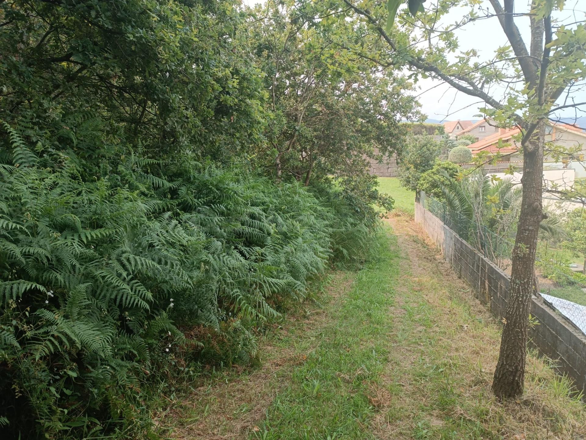 Venta de Terreno en Nagorol. Lugar Saianes - foto 5