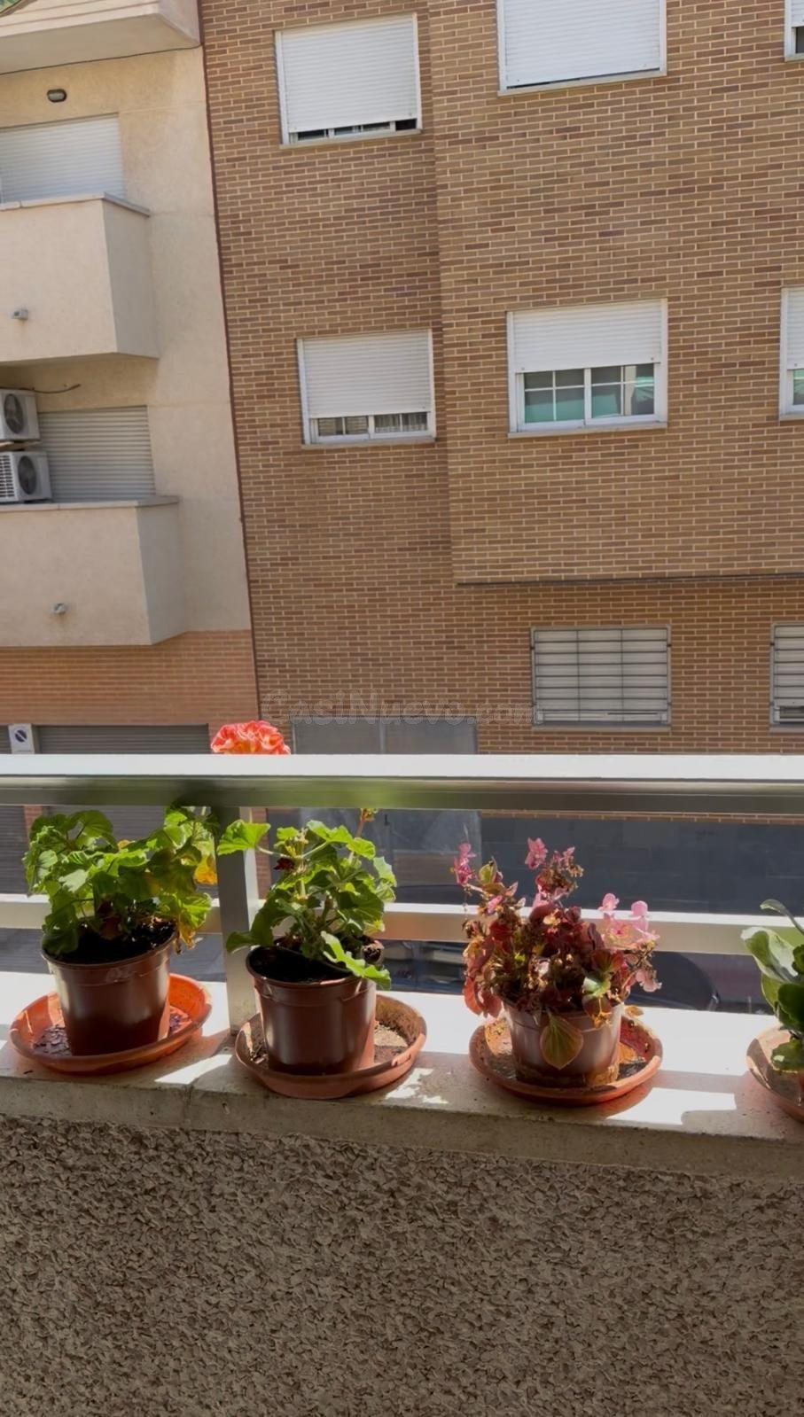 Amplia vivienda de 4 dormitorios con garaje en Patiño (Murci - foto 4