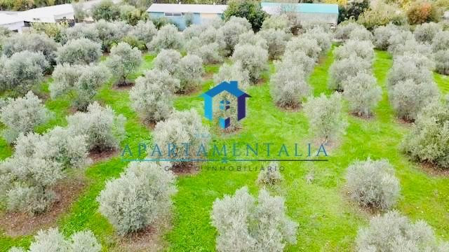 ⛳ PARCELA 5.000 m2 JUNTO A NUEVO CAMPO DE GOLF EN CÓRDOBA ⛳