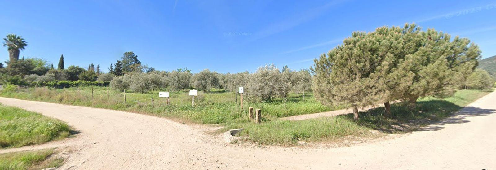 ⛳ PARCELA 5.000 m2 JUNTO A NUEVO CAMPO DE GOLF EN CÓRDOBA ⛳ - foto 2