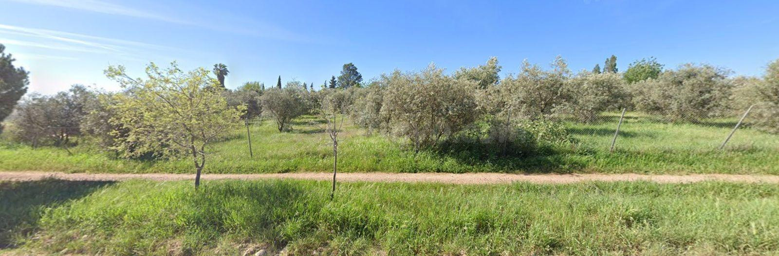 ⛳ PARCELA 5.000 m2 JUNTO A NUEVO CAMPO DE GOLF EN CÓRDOBA ⛳ - foto 4