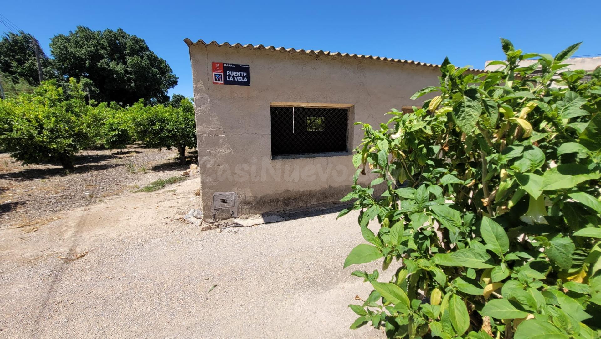 FINCA RÚSTICA DE REGADÍO CON LIMONEROS EN PRODUCCIÓN - foto 4
