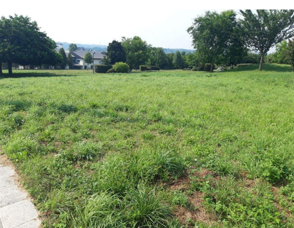 Terreno urbano en venta - Avenida de la Coruña - foto 3