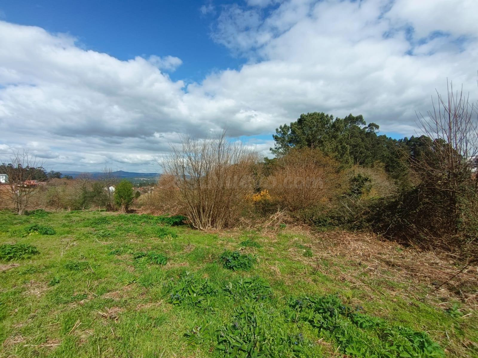 TERRENO EN VENTA EN LA ESTRADA - foto 5