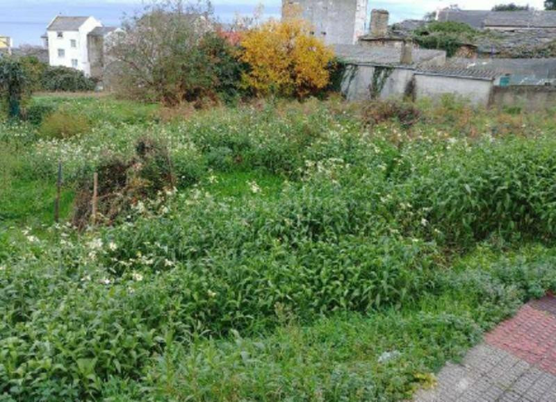 Venta de 2 Suelos Urbanos Residenciales en CASTRELO Nº 24 Burela (Lugo)