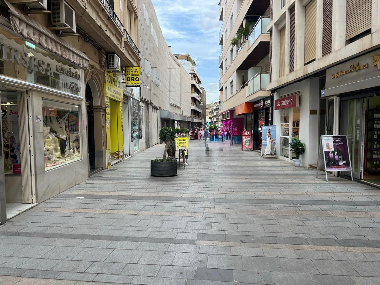 LOCAL COMERCIAL EN RENTABILIDAD EN ZONA PRIME DEL CENTRO DE  - foto 5