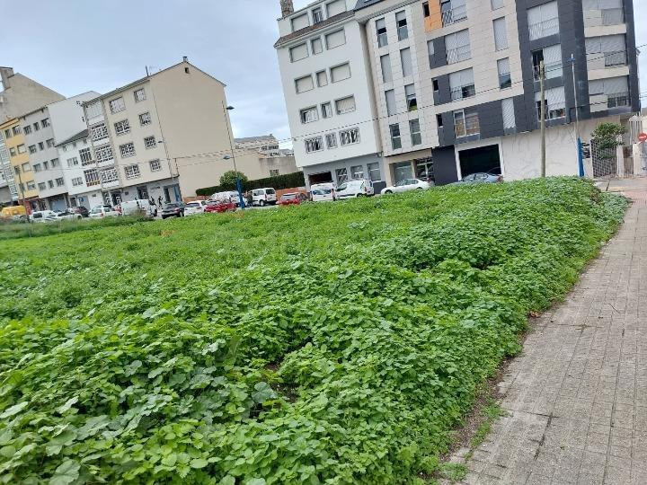 TERRENO URBANO EN BURELA - foto 2