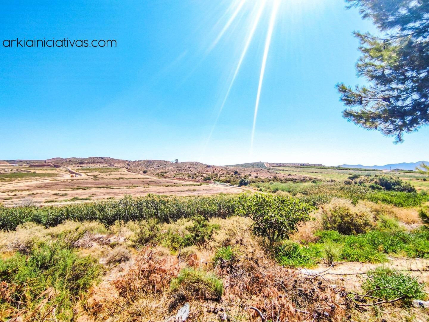 FINCA RUSTICA DE 8,5 Ha EN PULPI