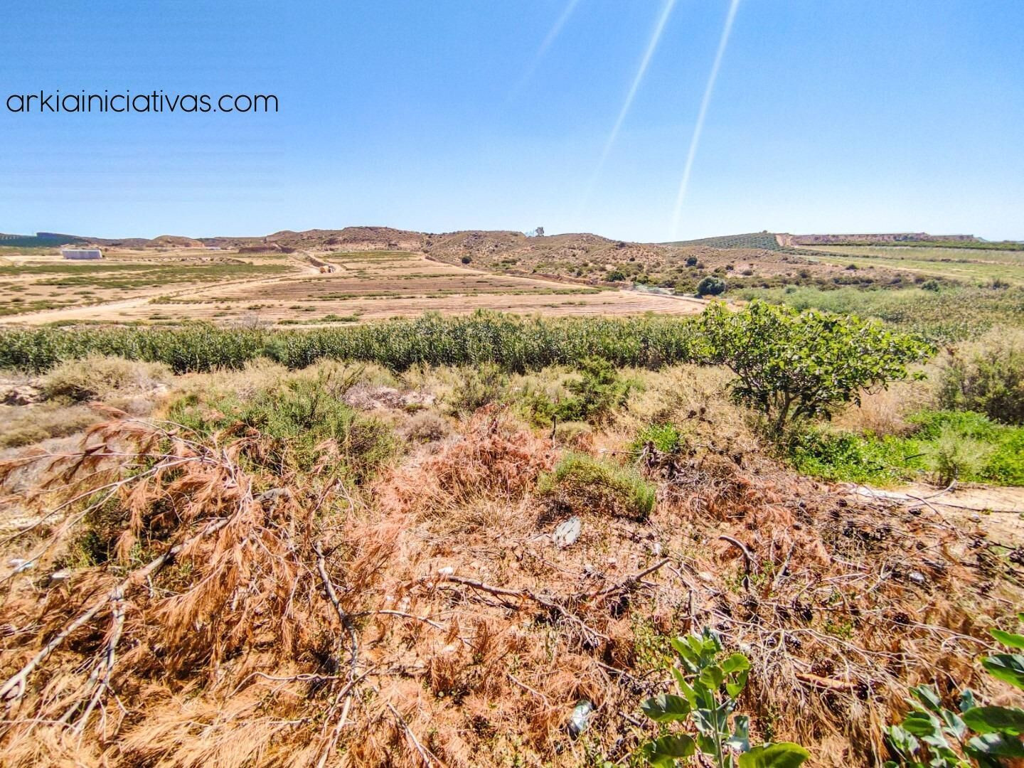 FINCA RUSTICA DE 8,5 Ha EN PULPI - foto 2