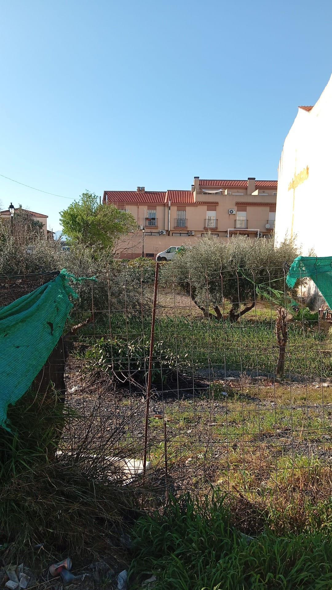 ¡SE VENDE PARCELA URBANIZABLE EN HÍJAR! - foto 4