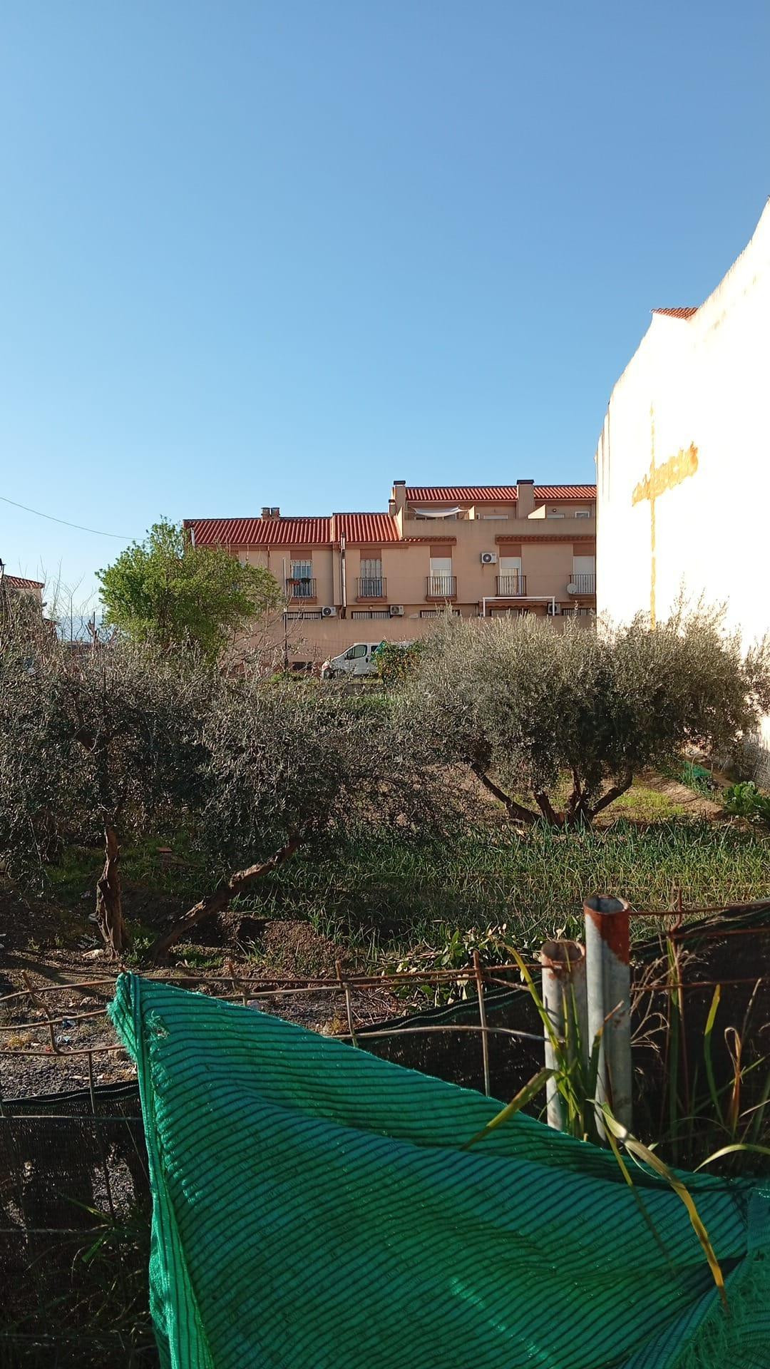 ¡SE VENDE PARCELA URBANIZABLE EN HÍJAR! - foto 5