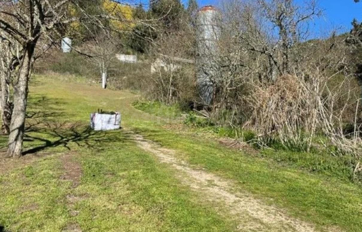 Finca rústica en venta en urbanización Berrocanes - foto 2