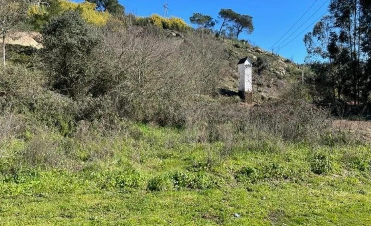 Finca rústica en venta en urbanización Berrocanes - foto 4