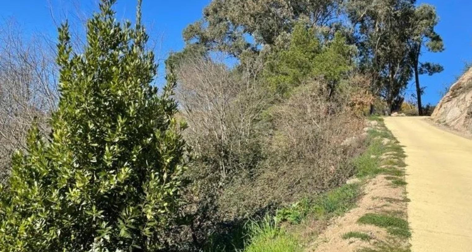 Finca rústica en venta en urbanización Berrocanes - foto 5