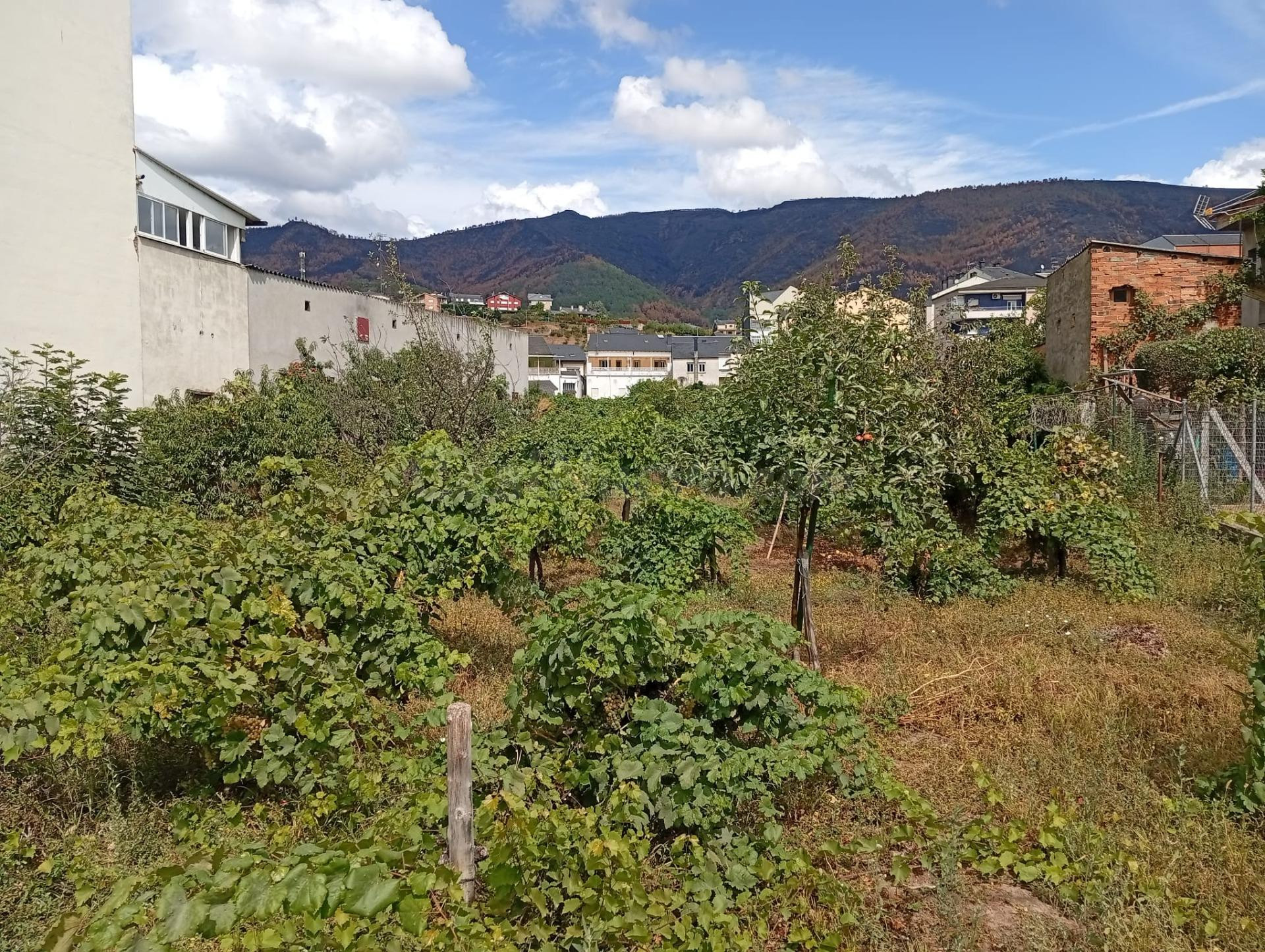 Terreno Urbano en A Rúa - Oportunidad de Inversión Residenci - foto 4
