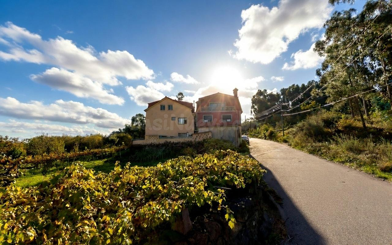 CASA ALQUILADA - foto 4