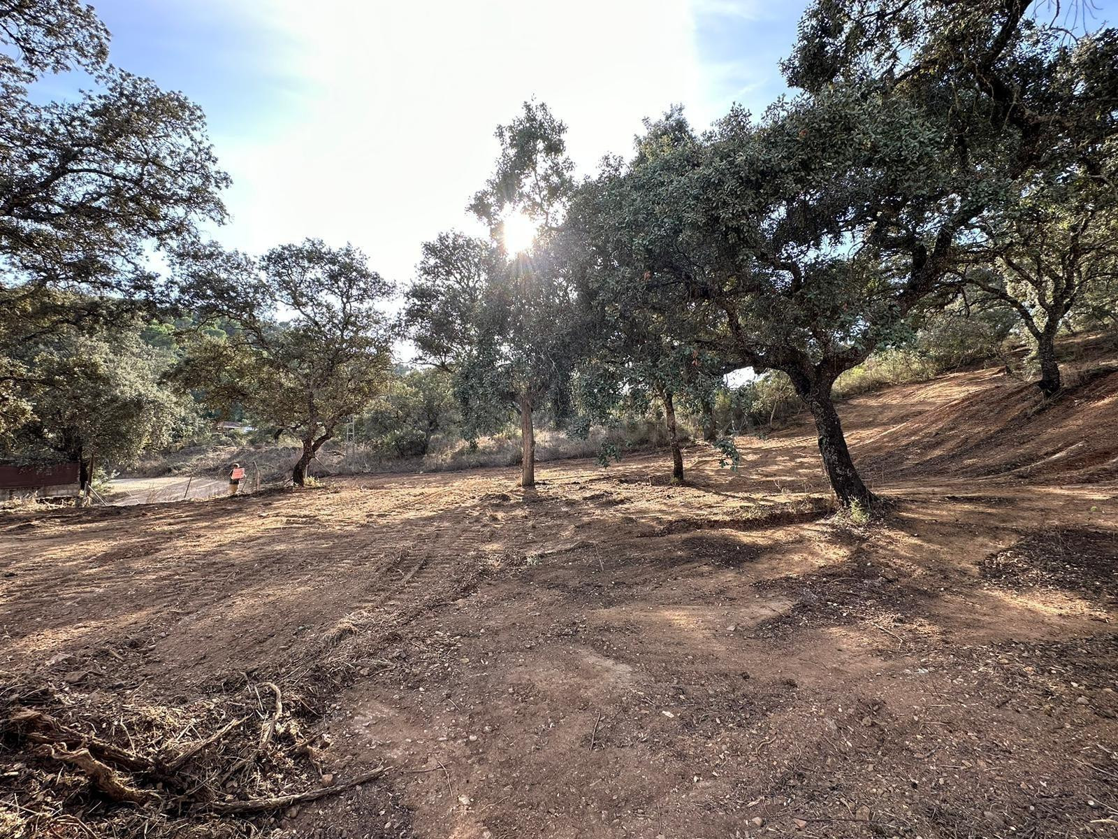 ATENCIÓN OPORTUNIDAD!! PARCELA DE 2.500M2 EN SANTA MARIA DE TRASSIERRA SOLO 39.900€, CORDO