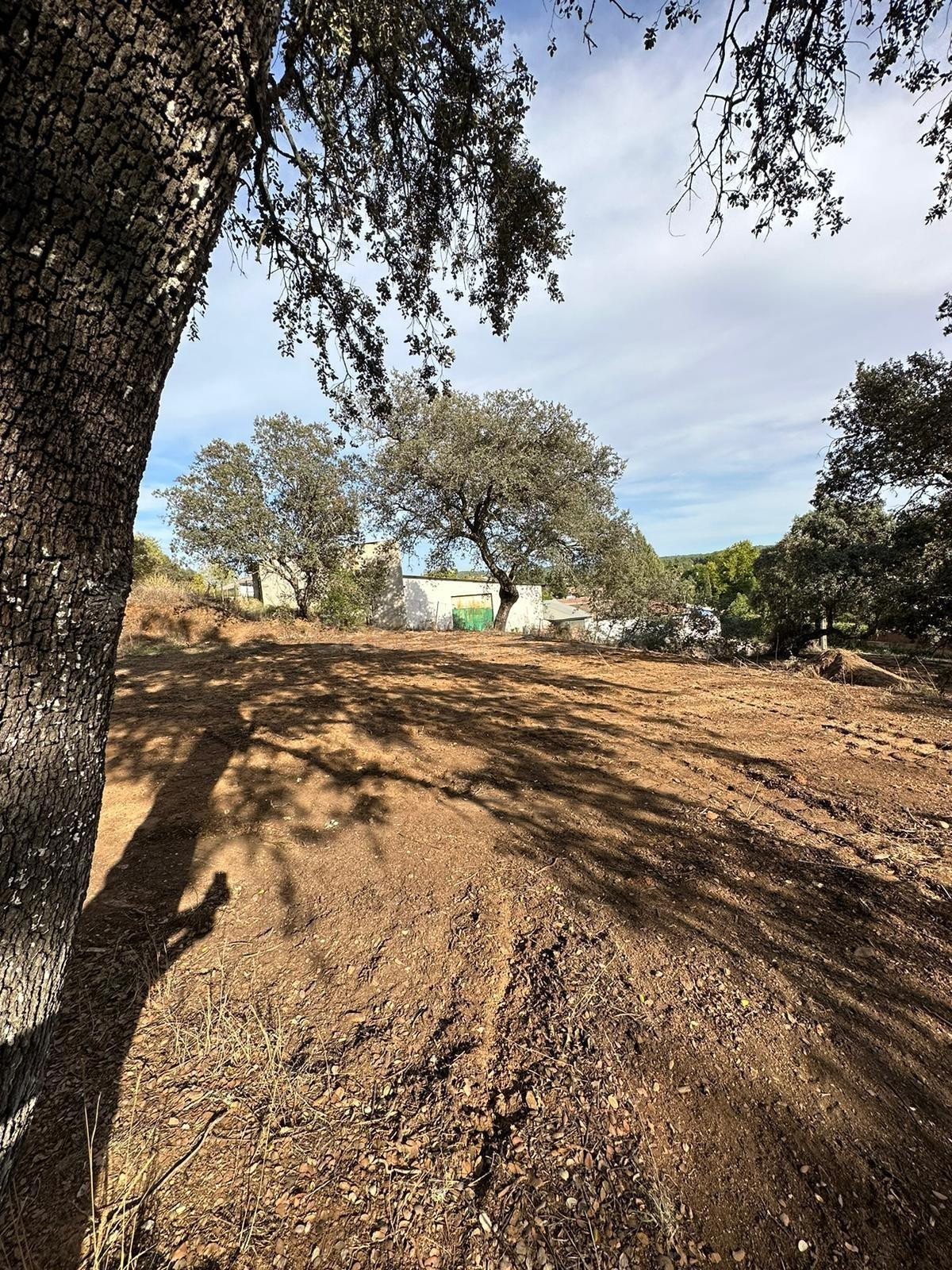 ATENCIÓN OPORTUNIDAD!! PARCELA DE 2.500M2 EN SANTA MARIA DE  - foto 3