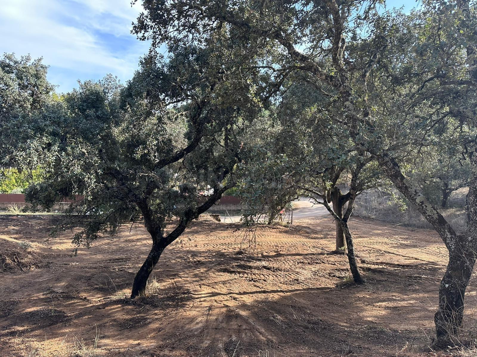 ATENCIÓN OPORTUNIDAD!! PARCELA DE 2.500M2 EN SANTA MARIA DE  - foto 4