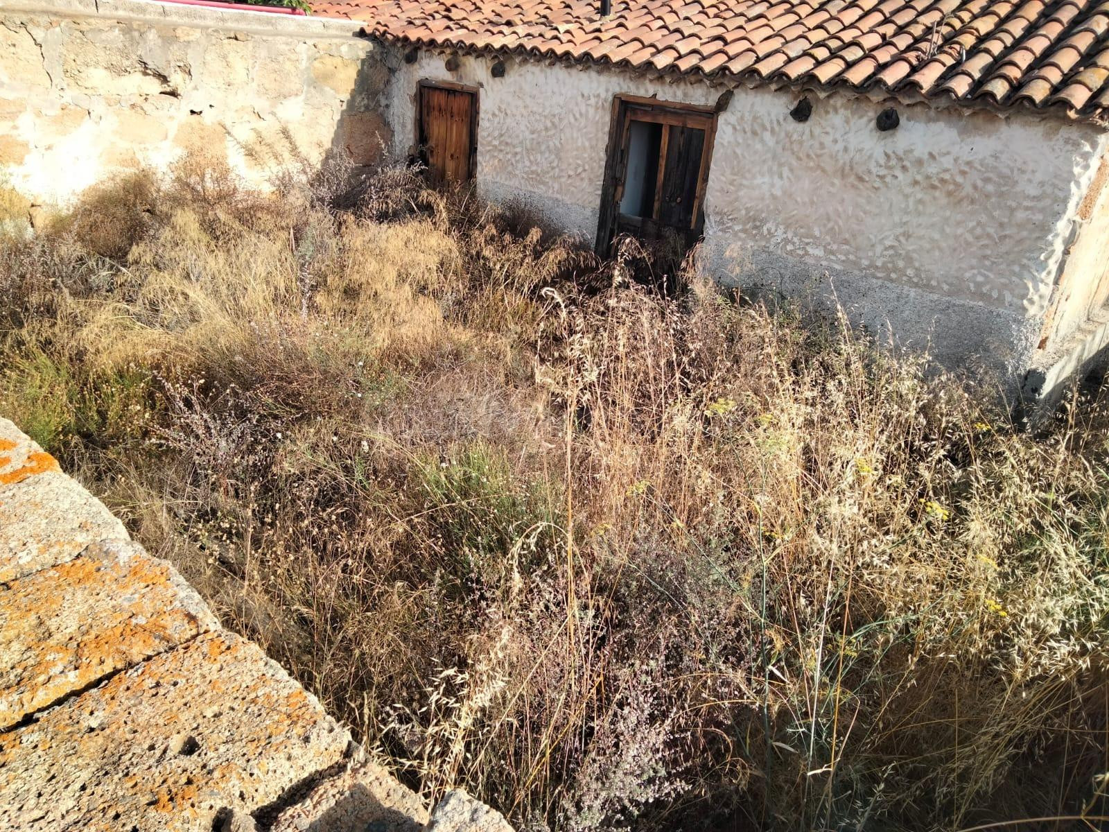 ## Una pequeña joya canaria esperando una nueva vida - foto 3