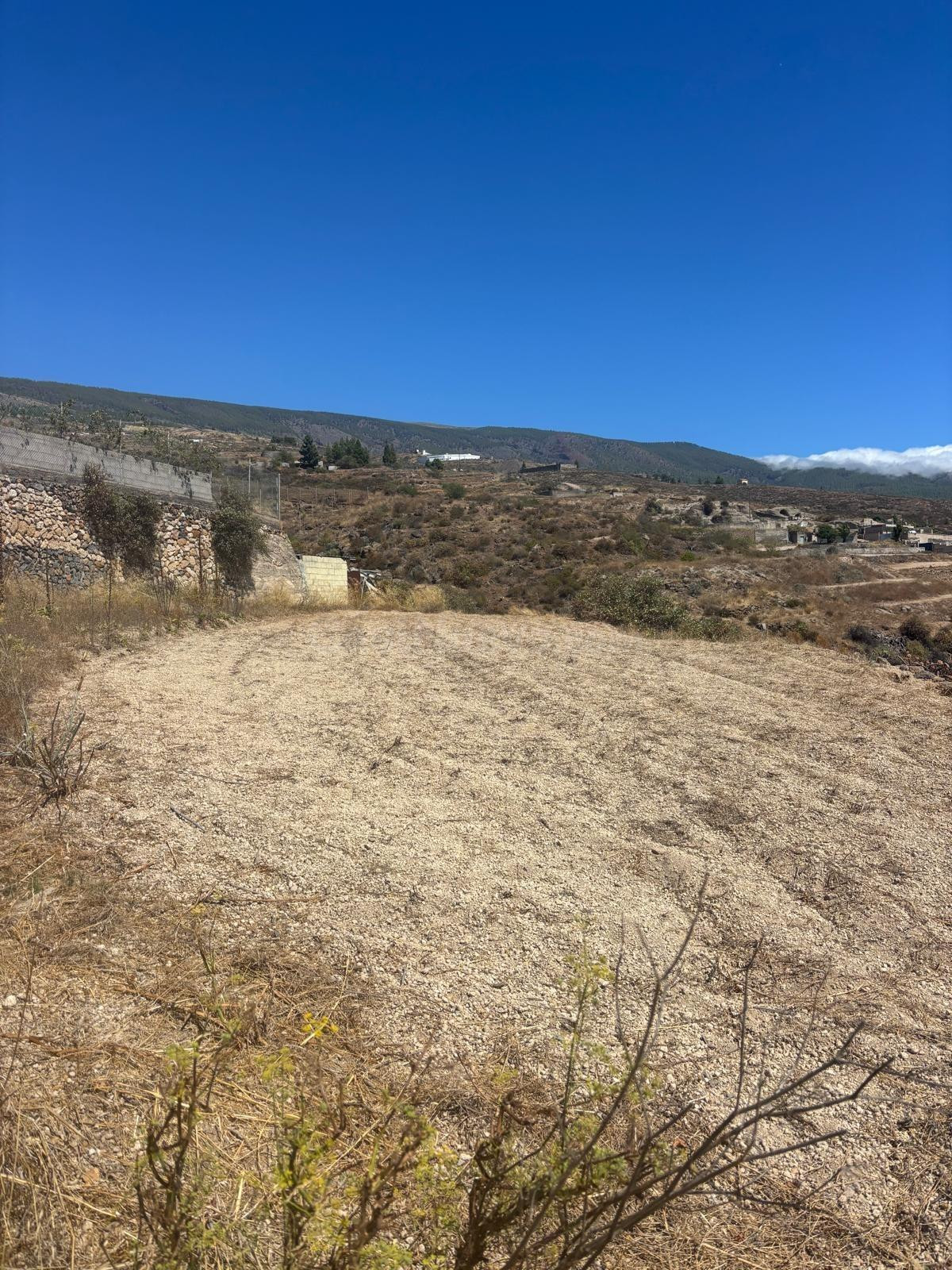 Terreno rústico con cueva y agua en La Zarza, Fasnia – Ideal