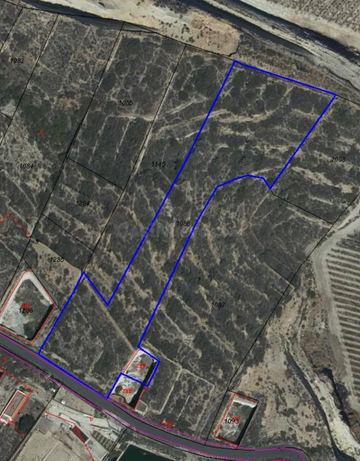 Terreno de huertas en Fasnia – A pie de carretera, vistas al - foto 3