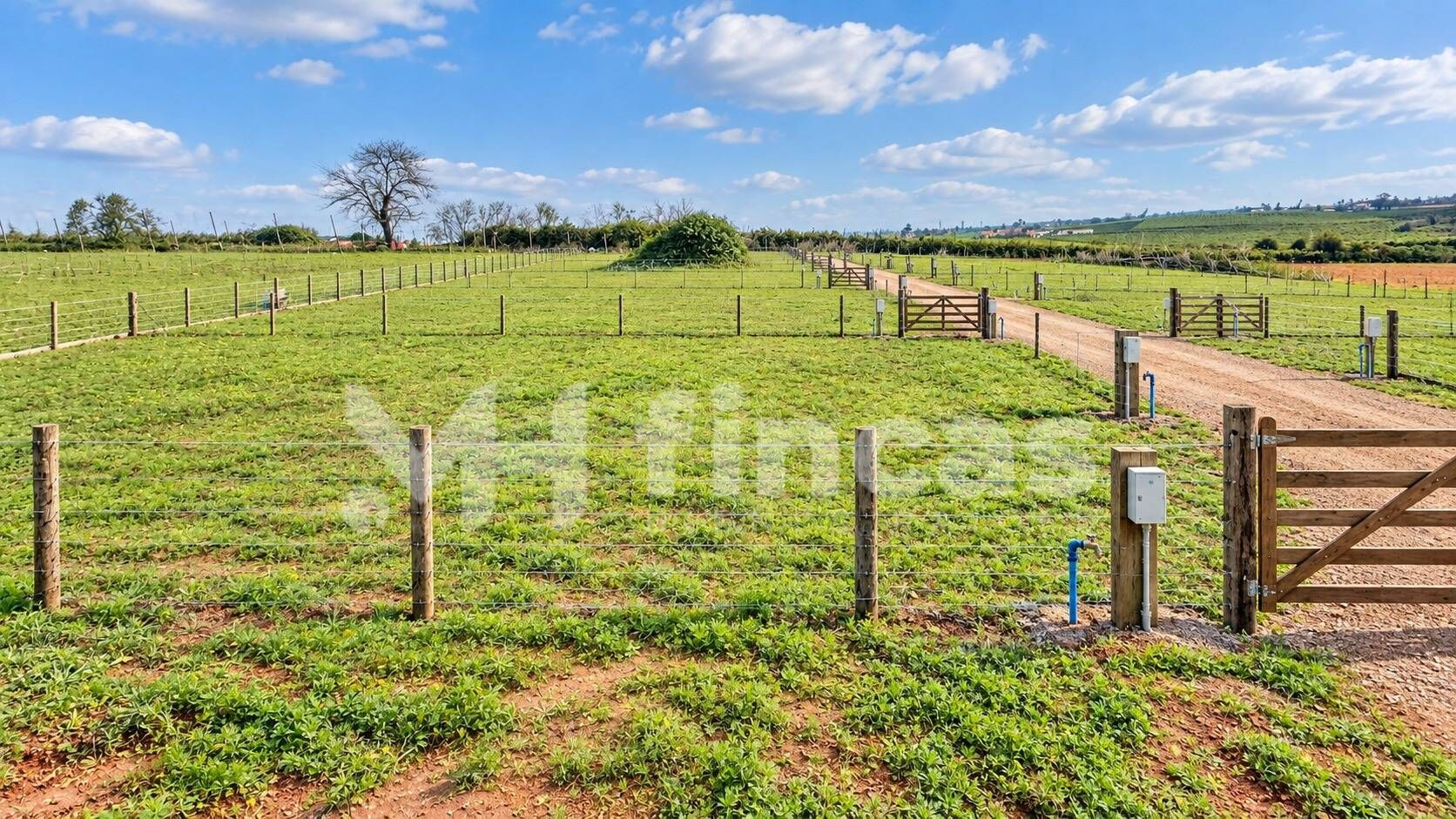 PARCELA RÚSTICA DE REGADÍO EN MAIRENA DEL ALCOR – 119.900 € - foto 2
