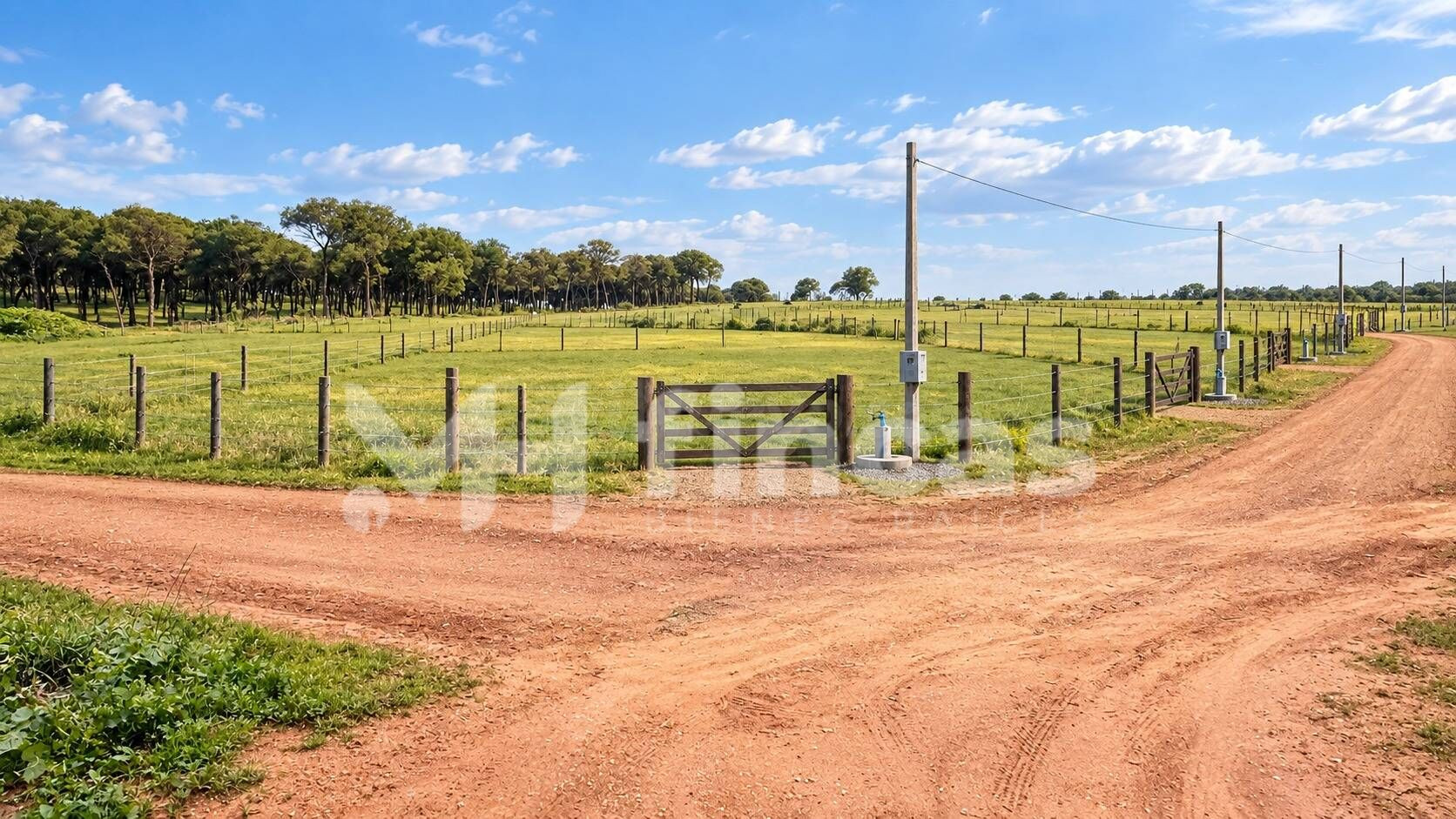 PARCELA RÚSTICA DE REGADÍO EN MAIRENA DEL ALCOR – 119.900 € - foto 3