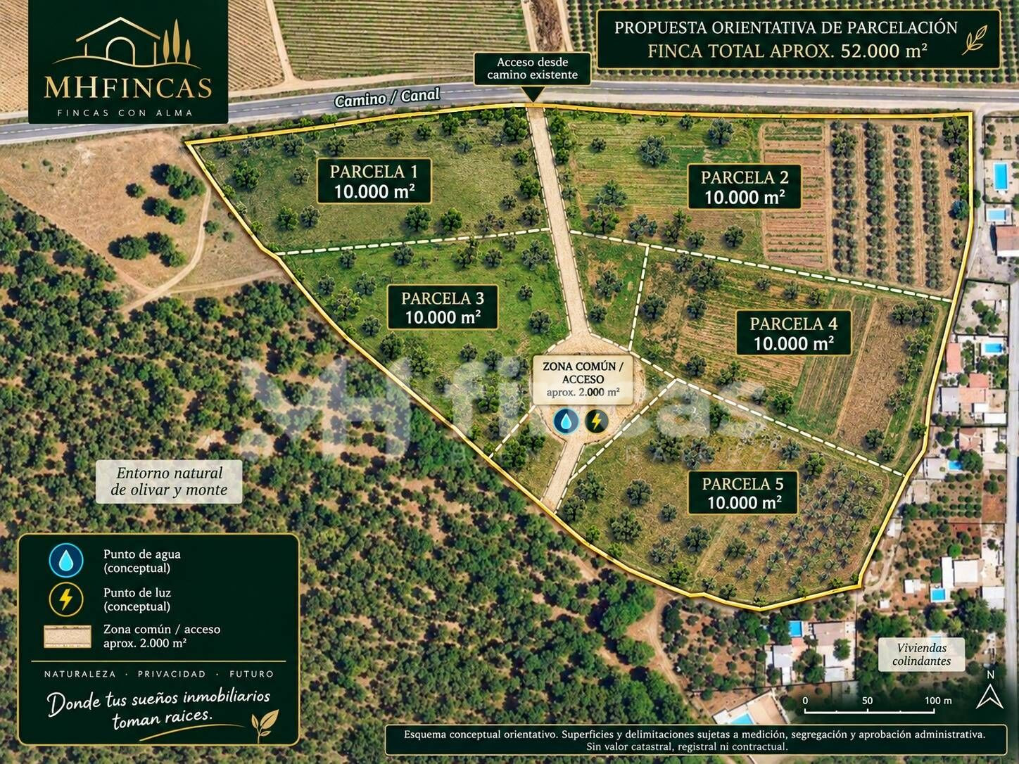 PARCELA RÚSTICA DE REGADÍO EN MAIRENA DEL ALCOR – 119.900 € - foto 4
