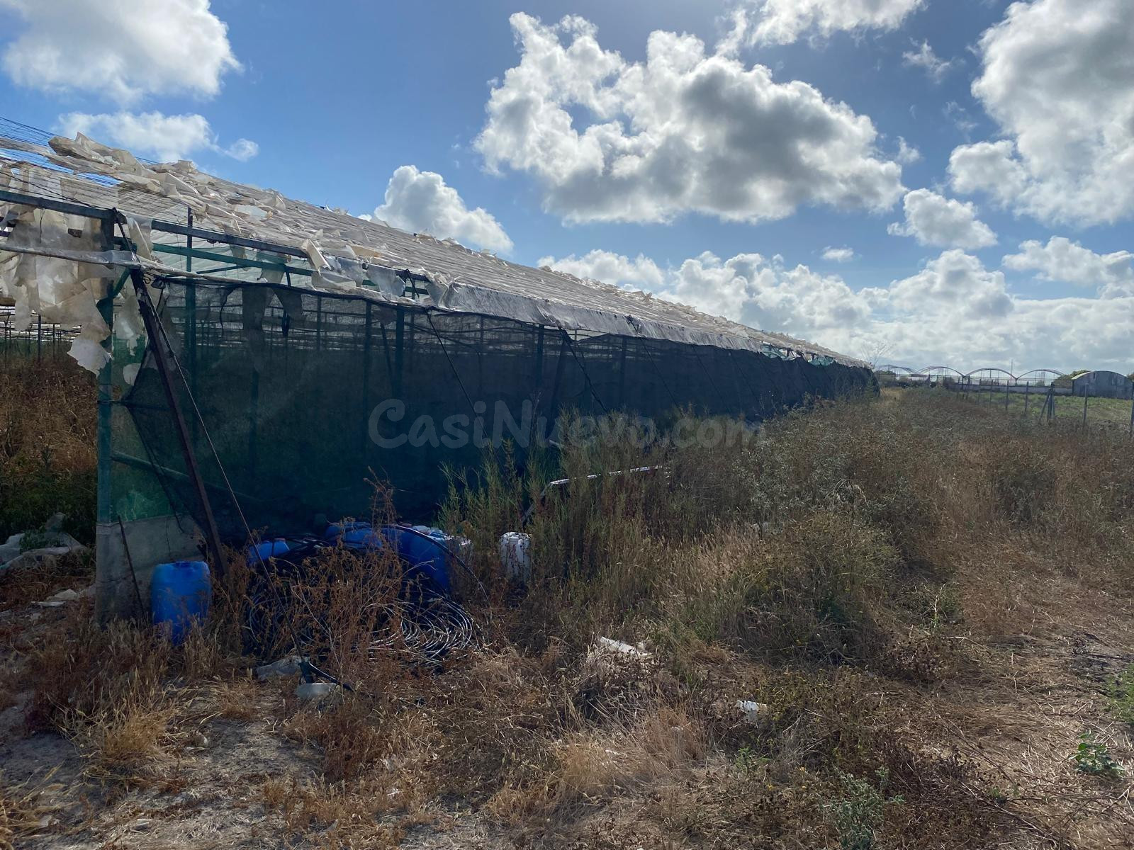 GRAN FINCA RUSTICA EN ROTA - foto 5