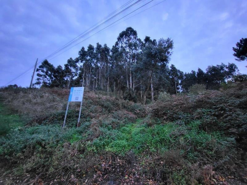 SUELO EN VENTA EN O VICEDO - foto 4