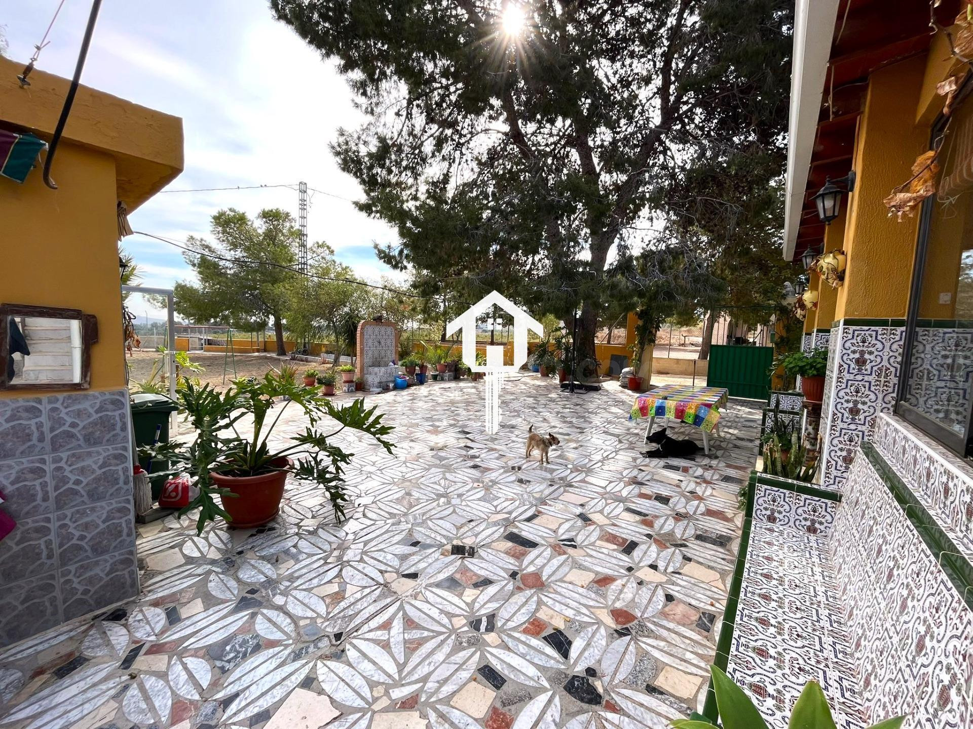 CASA DE CAMPO EN ELCHE - foto 3