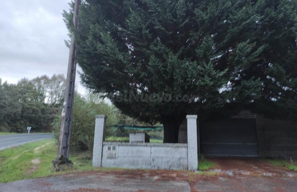 SE VENDE NAVE SIN POSESION EN PIÑOR (OURENSE) - foto 2