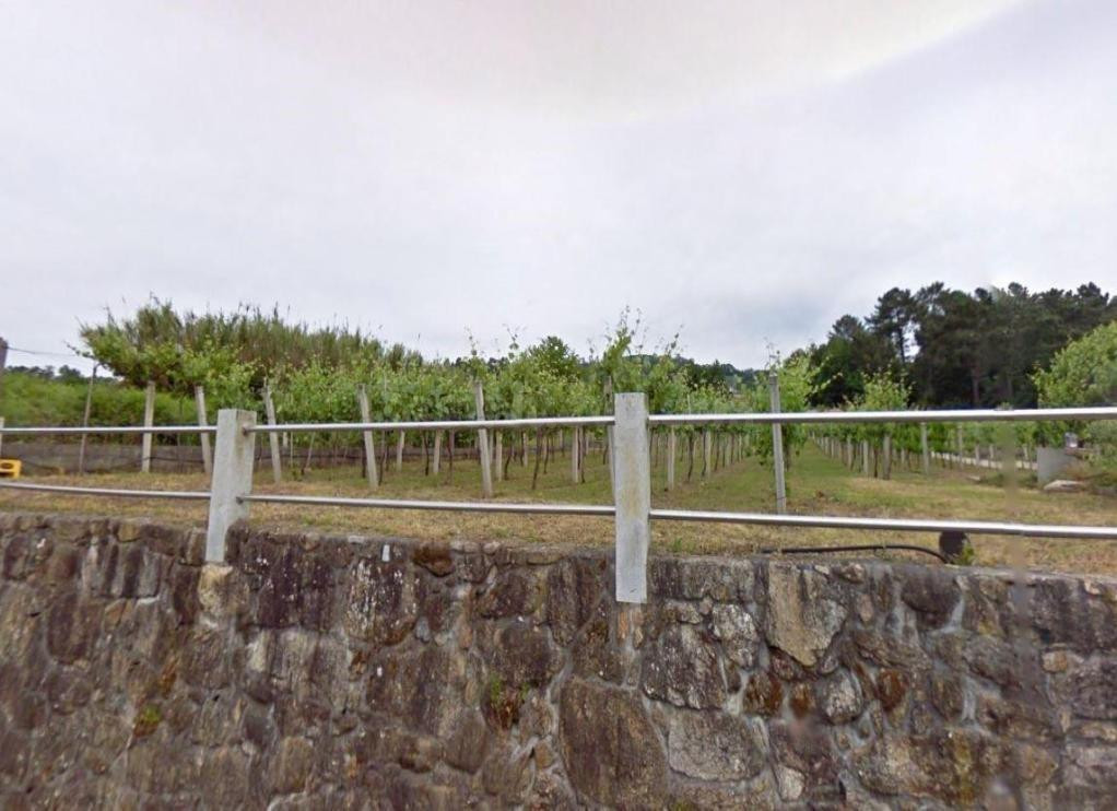 Suelo Rústico en venta, A BOAVISTA (ALBEOS), Crecente, Ponte - foto 3