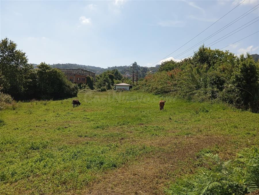 Finca Rústica de 971 m2 en Fuente Oscura (Vigo) LAVADORES