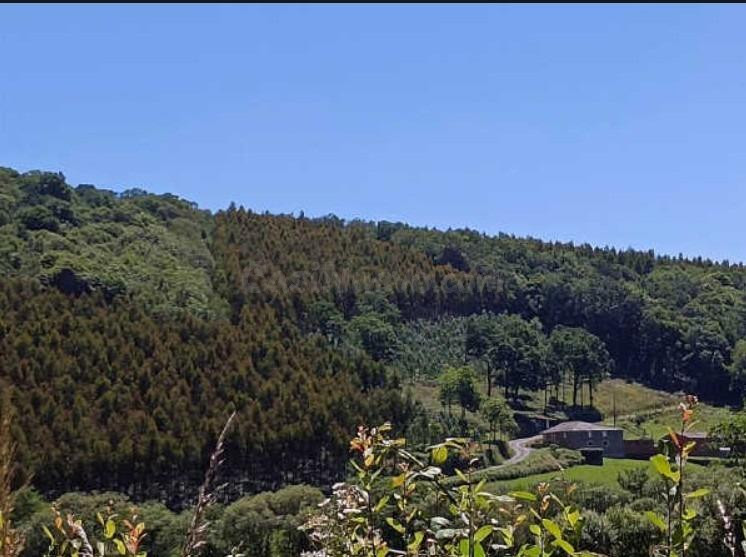 SUELO RUSTICO A PASTORIZA_UBEDA | Pastoriza, A, Lugo - foto 2