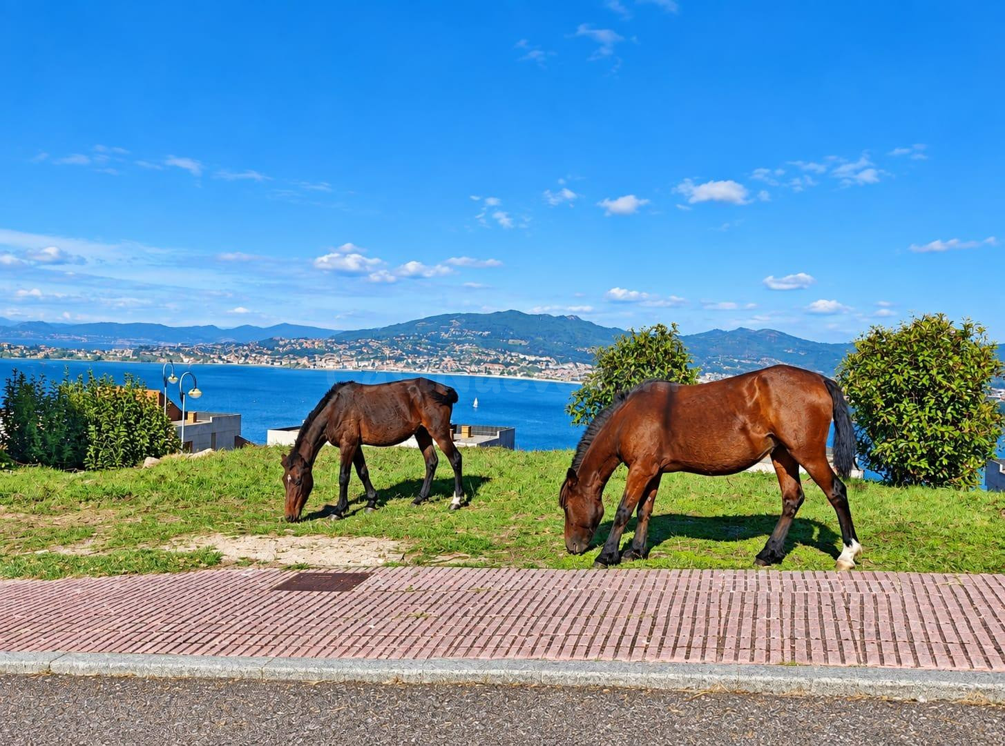 TERRAZA CON VISTAS MAR EN BAIONA - foto 2