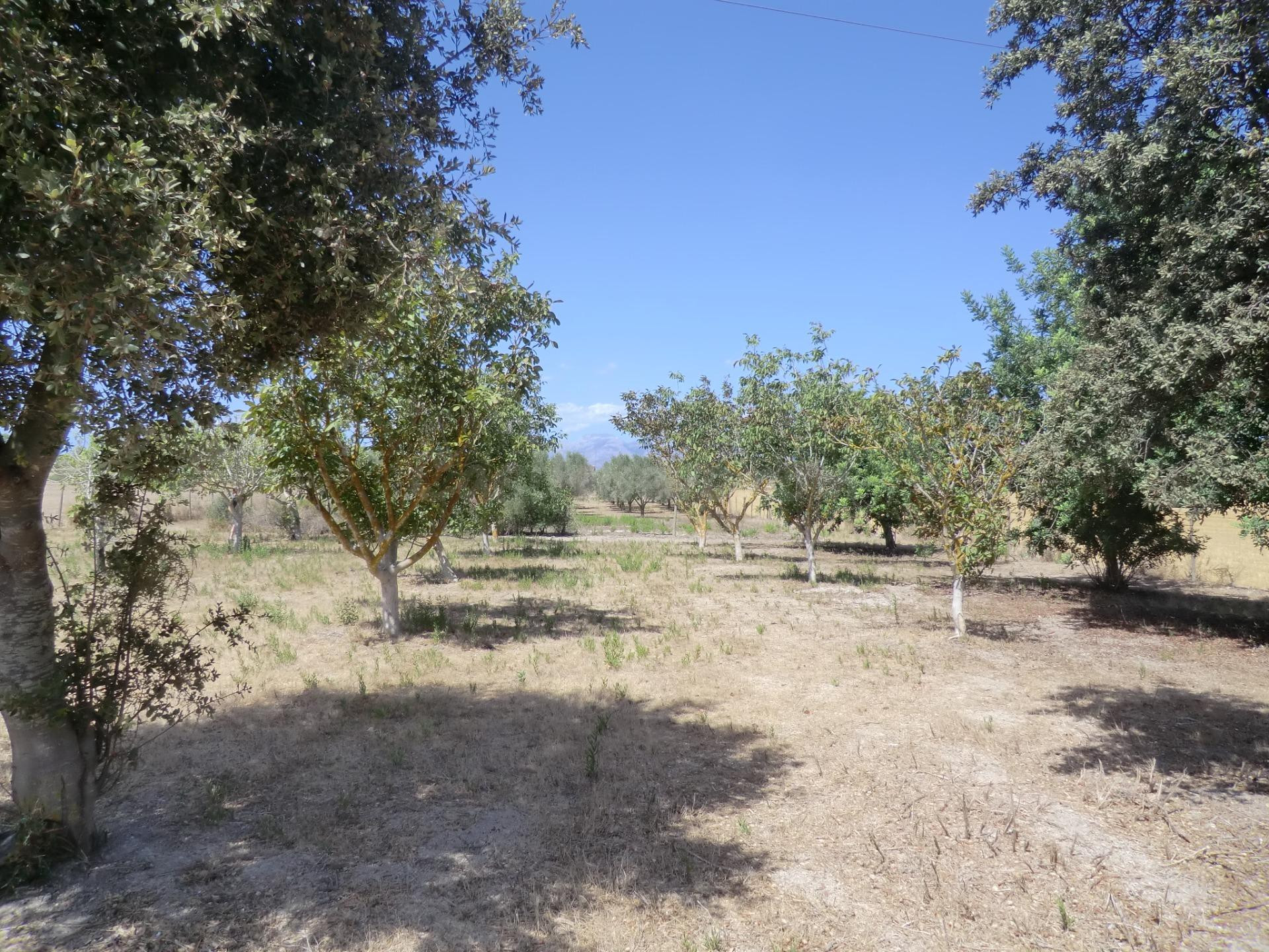 Finca rústica vallada con caseta y pozo - foto 2