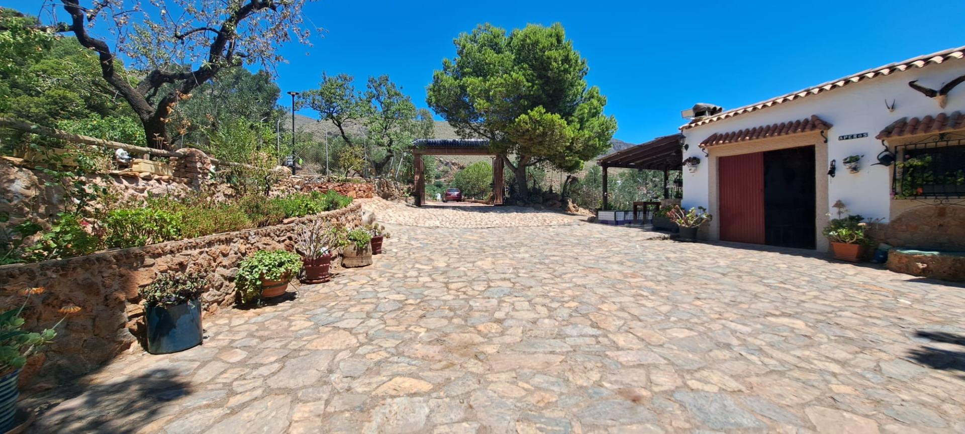 Espectacular finca de 50.000 m2 con vivienda a solo 15 minut - foto 5