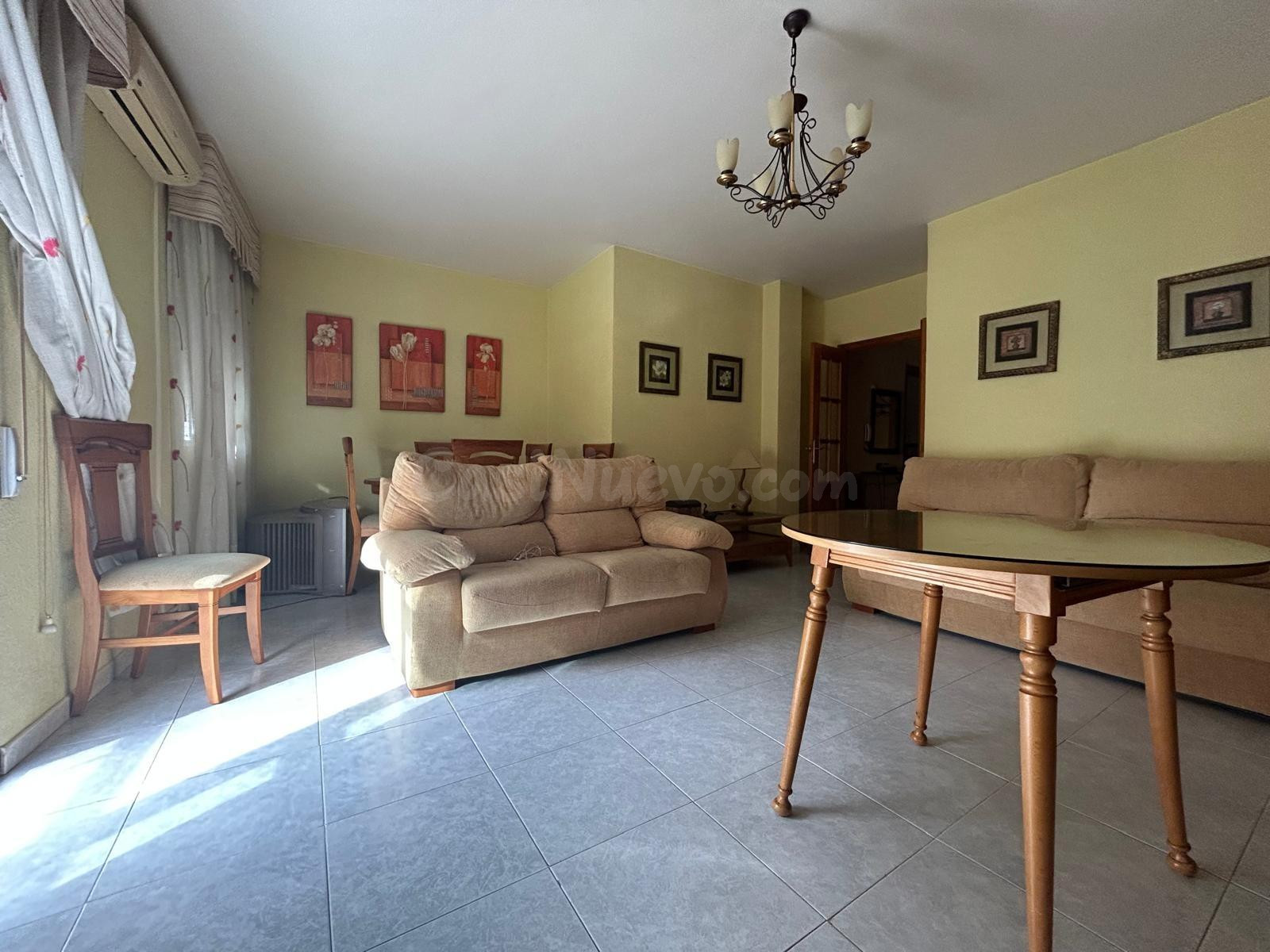 Amplio Tríplex en Ejido Norte con Local Comercial y Gran Ter - foto 5